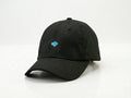 Island Cap (Center Logo)